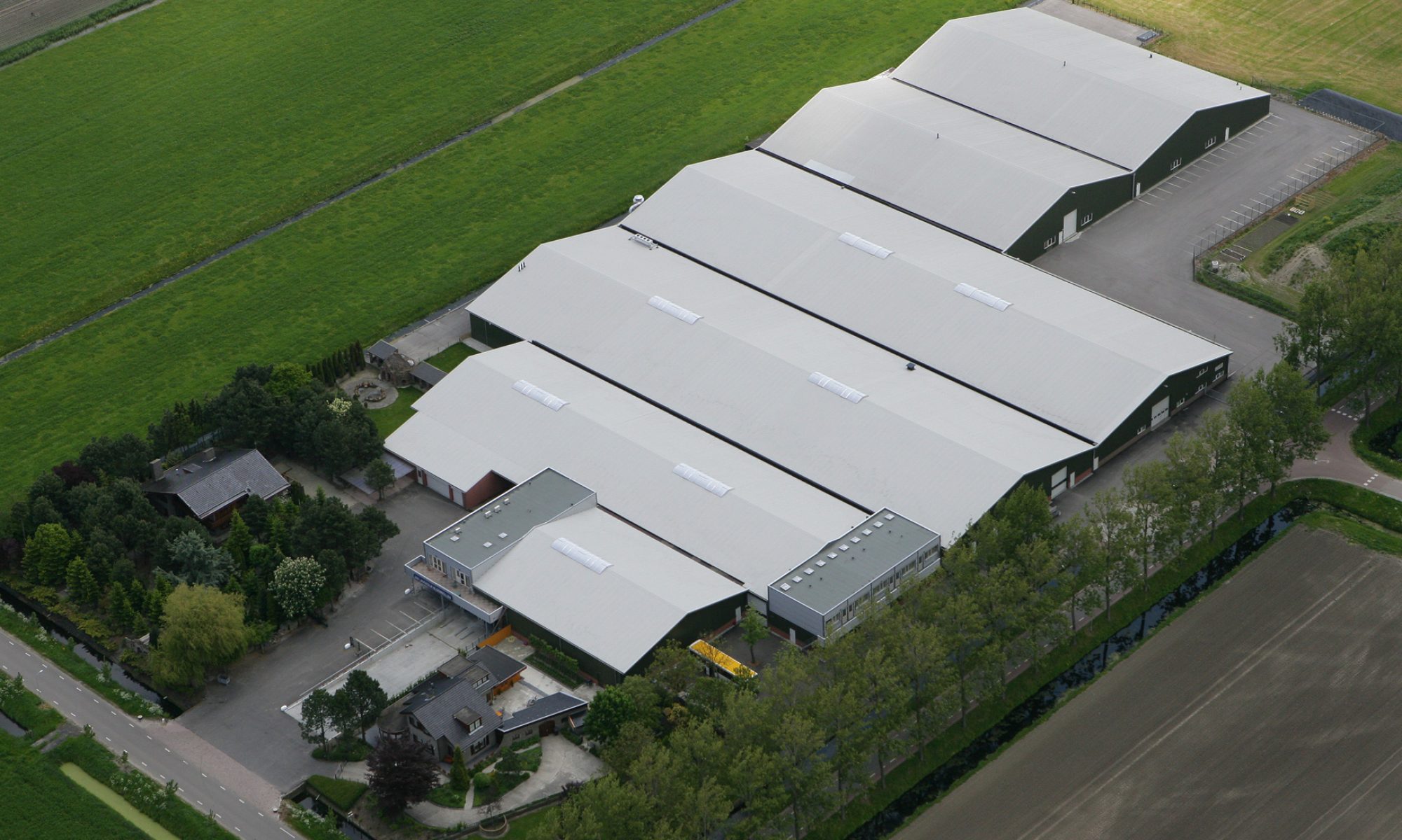 Jan Langedijk Flower Bulbs Dutch Flower Bulbs & Seeds